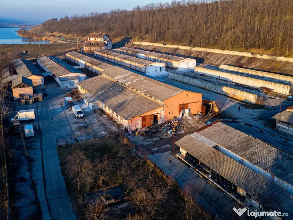 Fosta Ferma a Partidului de la Horgesti - de vanzare 