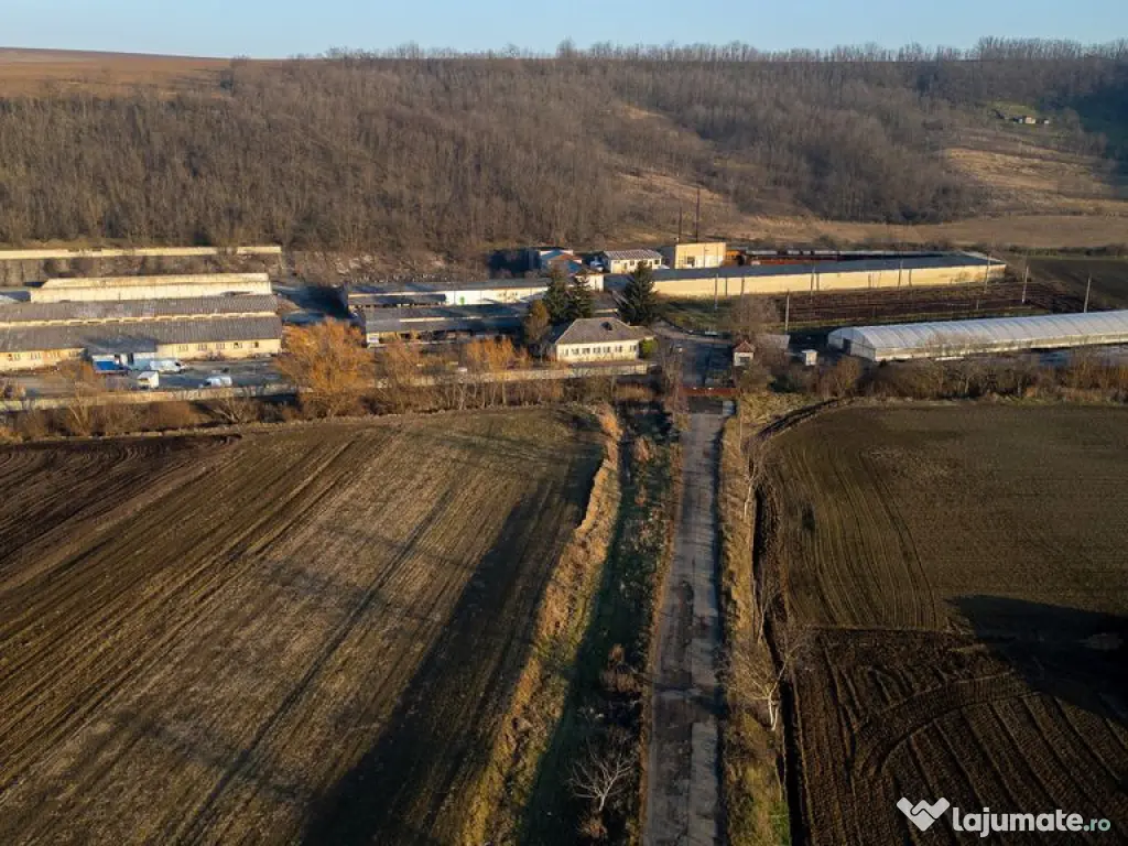 Fosta Ferma a Partidului de la Horgesti - de vanzare 