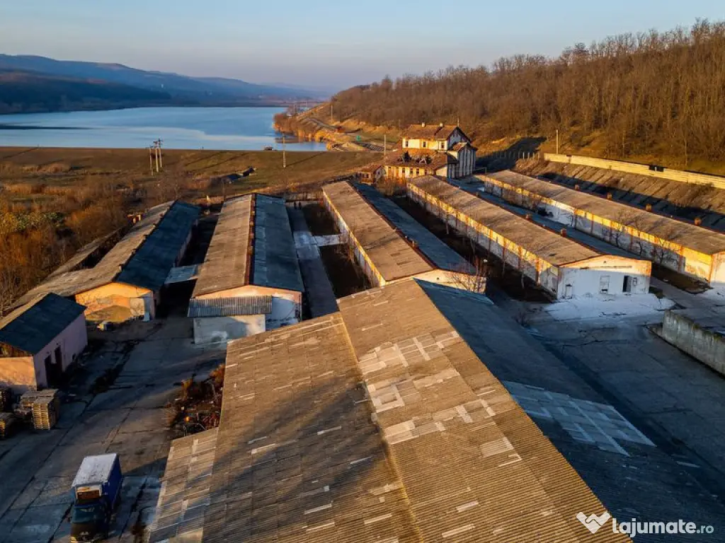 Fosta Ferma a Partidului de la Horgesti - de vanzare 