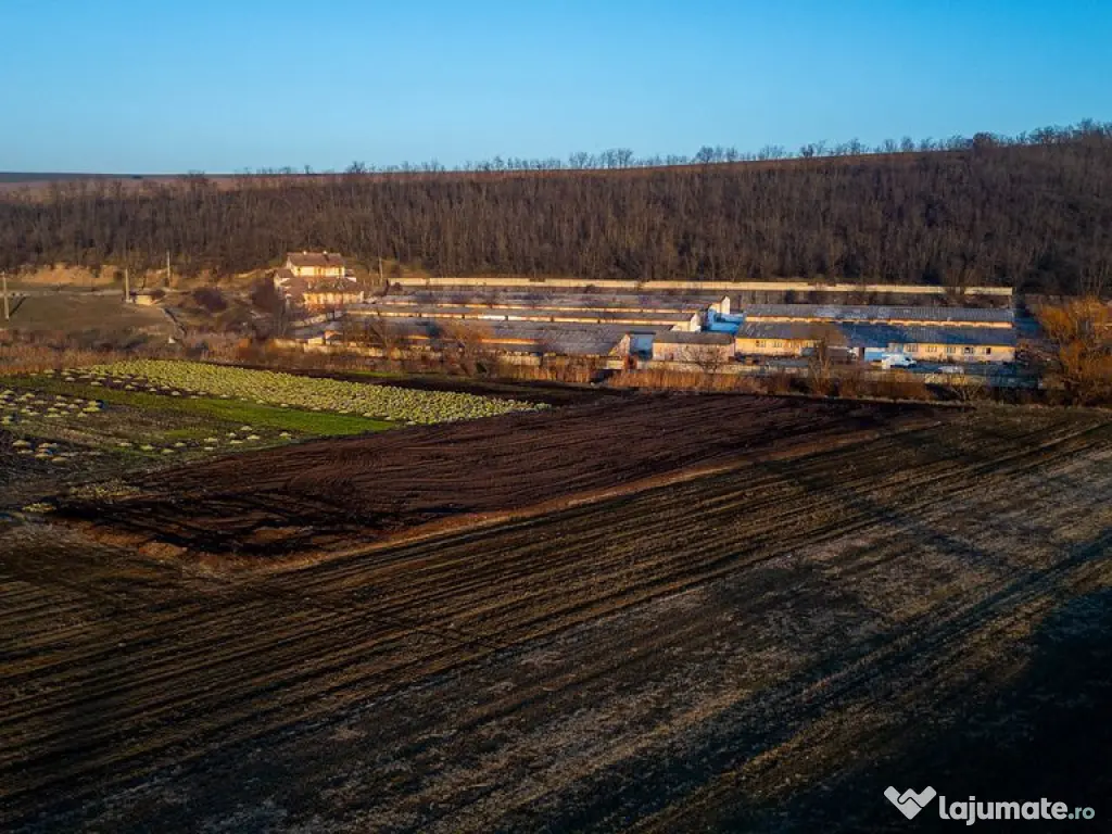 Fosta Ferma a Partidului de la Horgesti - de vanzare 