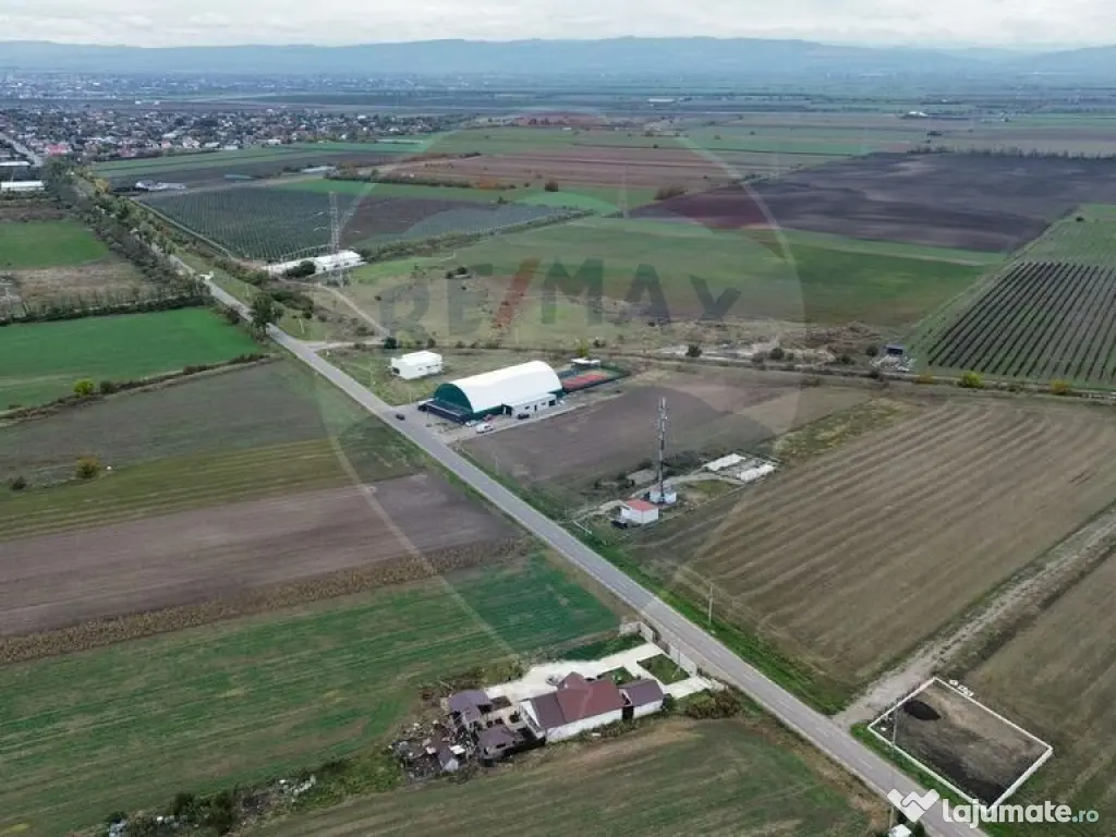 Teren 1,800mp Mircestii Vechi / DJ 204E 