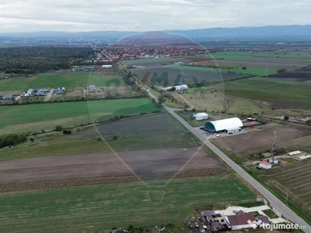 Teren 1,800mp Mircestii Vechi / DJ 204E 