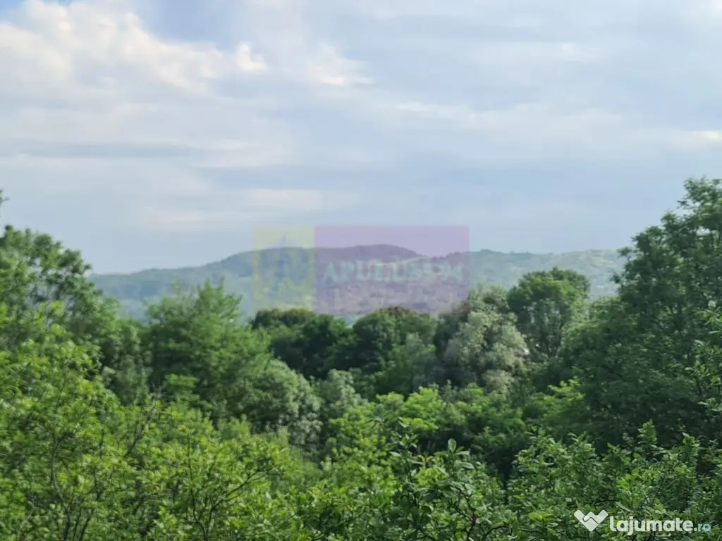 Vila de vanzare cu 6 camere in Cornu (teren 6.600 mp) 