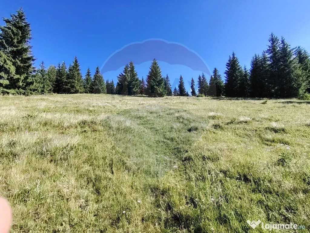 Teren 47,732mp Panaci / Strada MIhailet