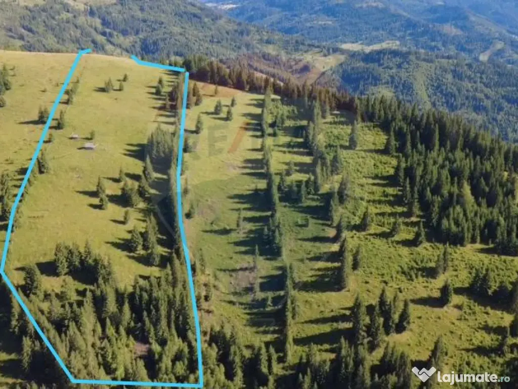 Teren 47,732mp Panaci / Strada MIhailet