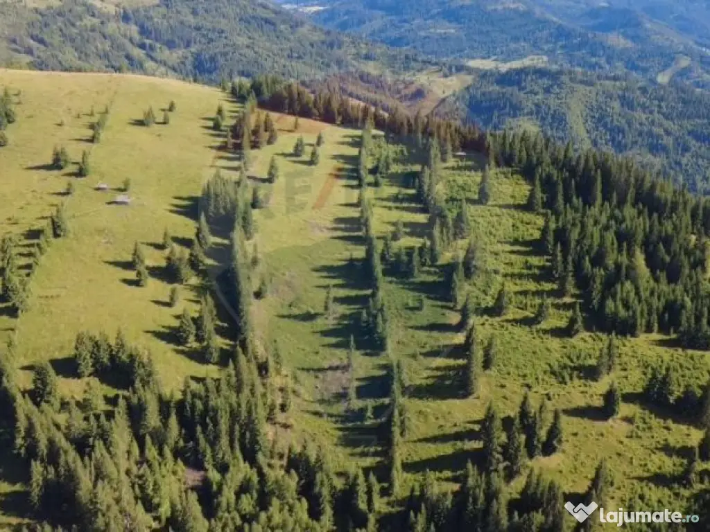 Teren 47,732mp Panaci / Strada MIhailet