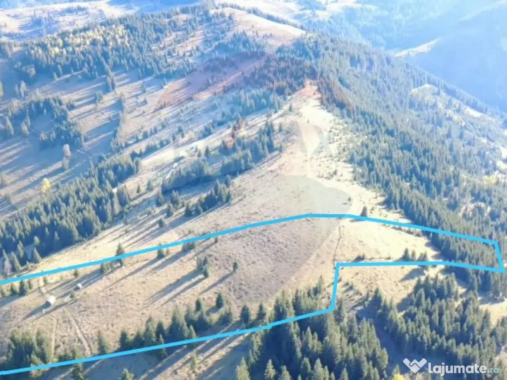 Teren 47,732mp Panaci / Strada MIhailet