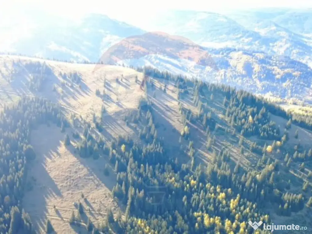 Teren 47,732mp Panaci / Strada MIhailet