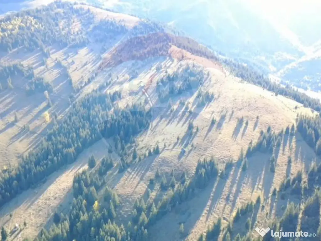 Teren 47,732mp Panaci / Strada MIhailet