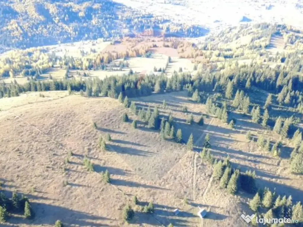 Teren 47,732mp Panaci / Strada MIhailet