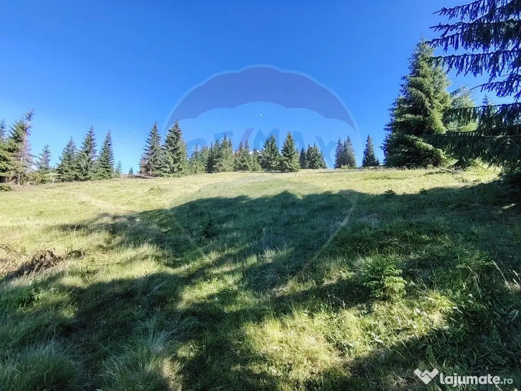 Teren 47,732mp Panaci / Strada MIhailet