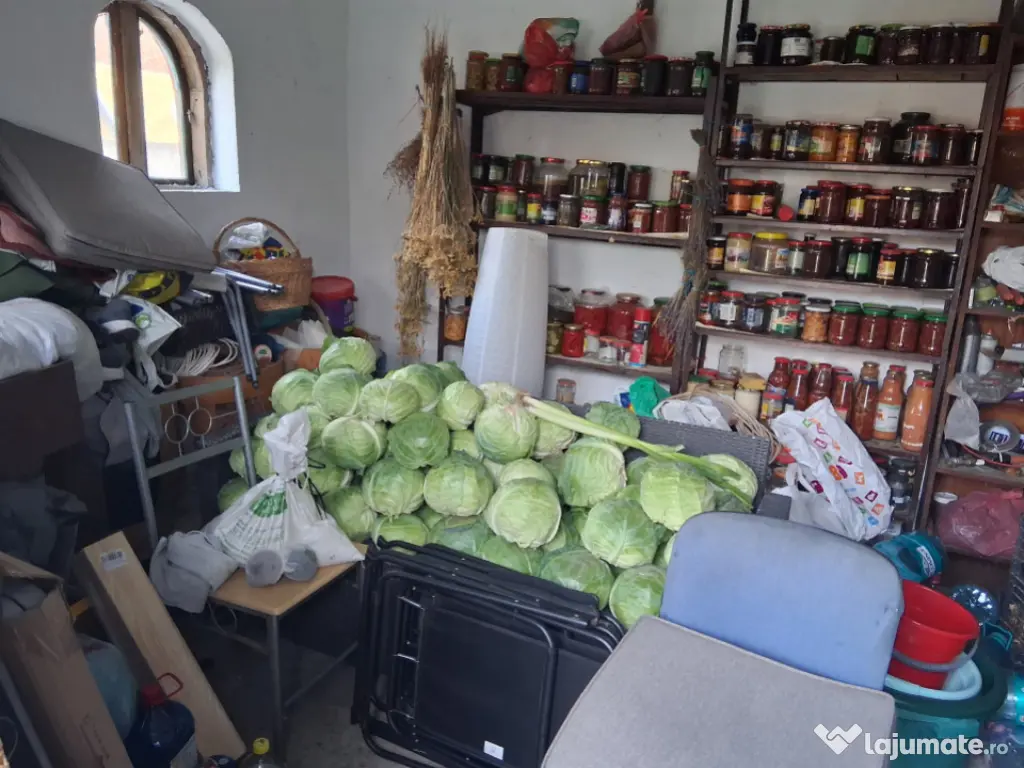 Casa 160mp, teren 863 mp, zona Brestei