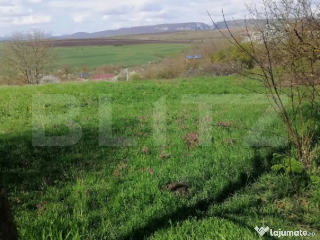 Teren intravilan, 1500 mp in Turda