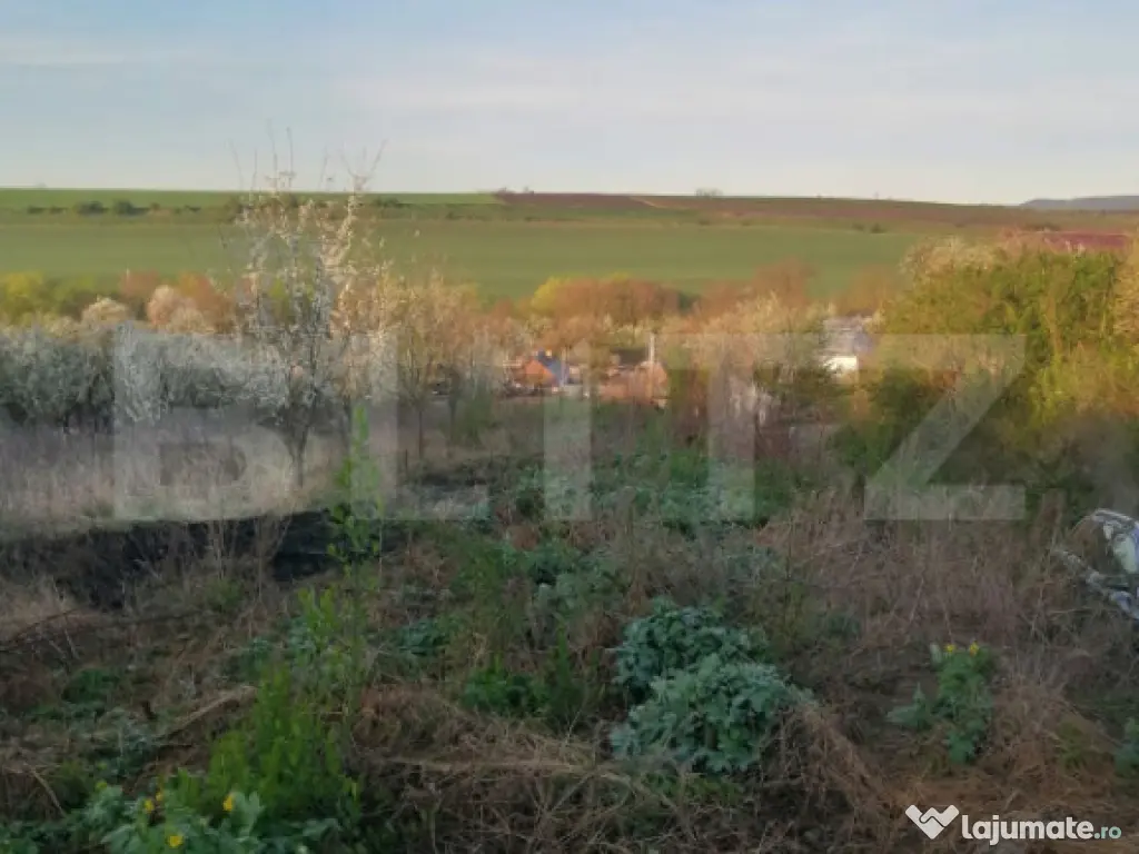 Teren intravilan, 1500 mp in Turda