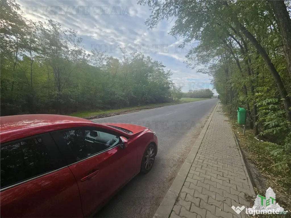 Teren 7500mp in liziera padurii in Dragomiresti-Deal