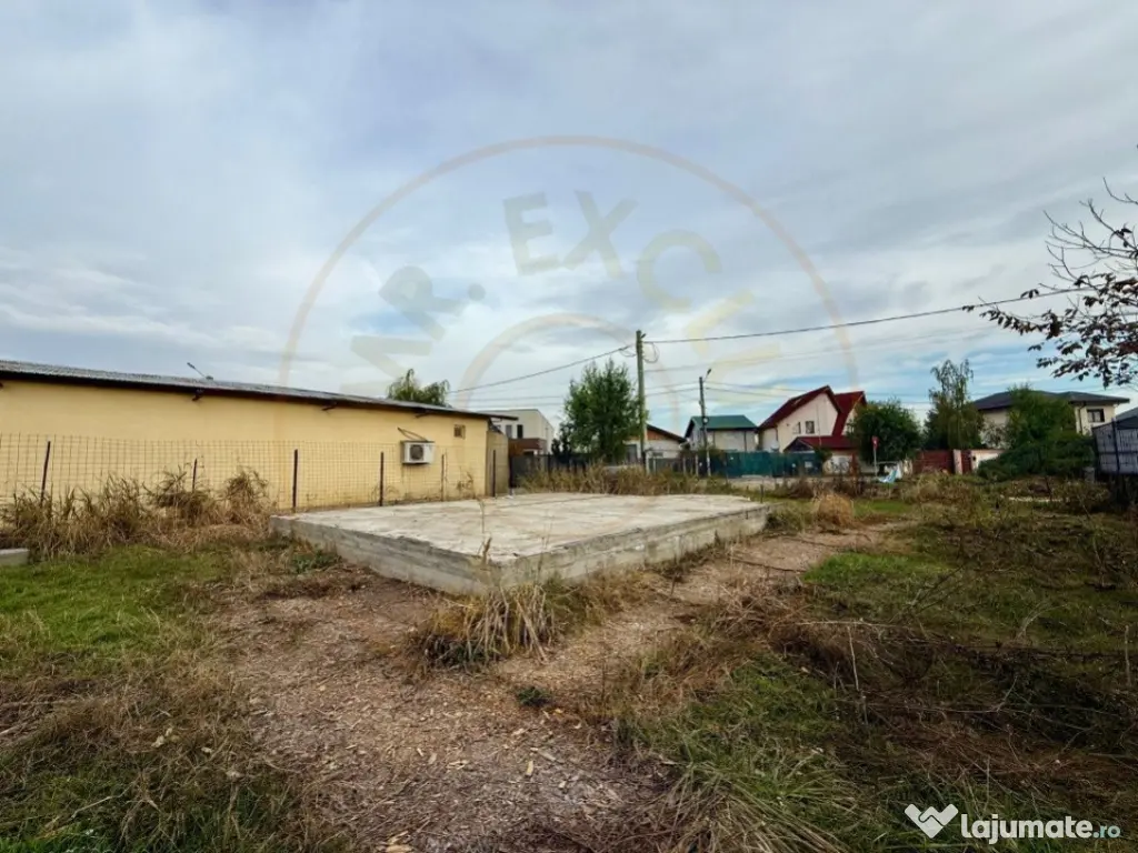 Teren Domnesti 1207 mp 