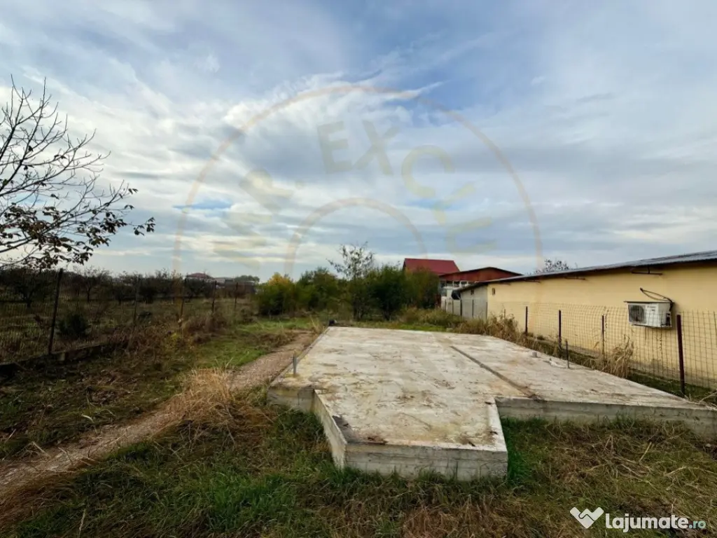 Teren Domnesti 1207 mp 