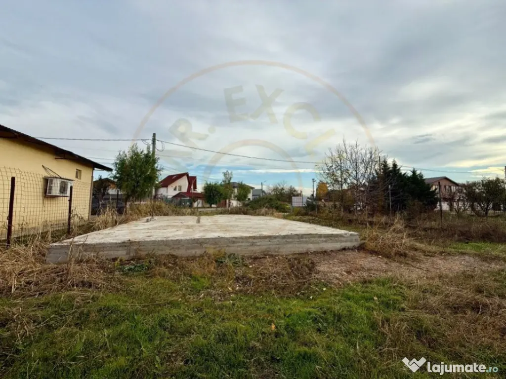 Teren Domnesti 1207 mp 