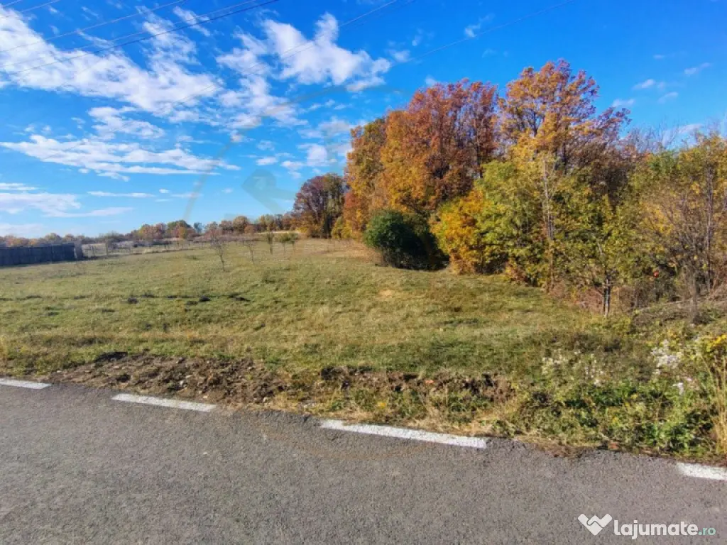 Teren Mosoaia 10200 mp intravilan Arges