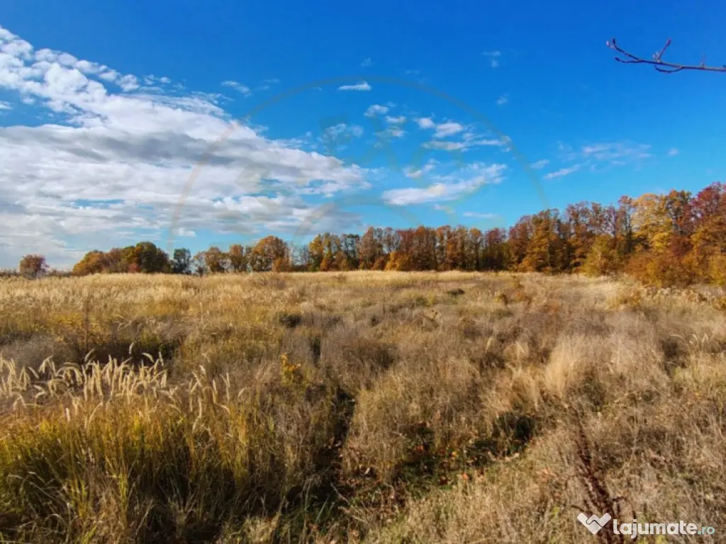 Teren Mosoaia 10200 mp intravilan Arges