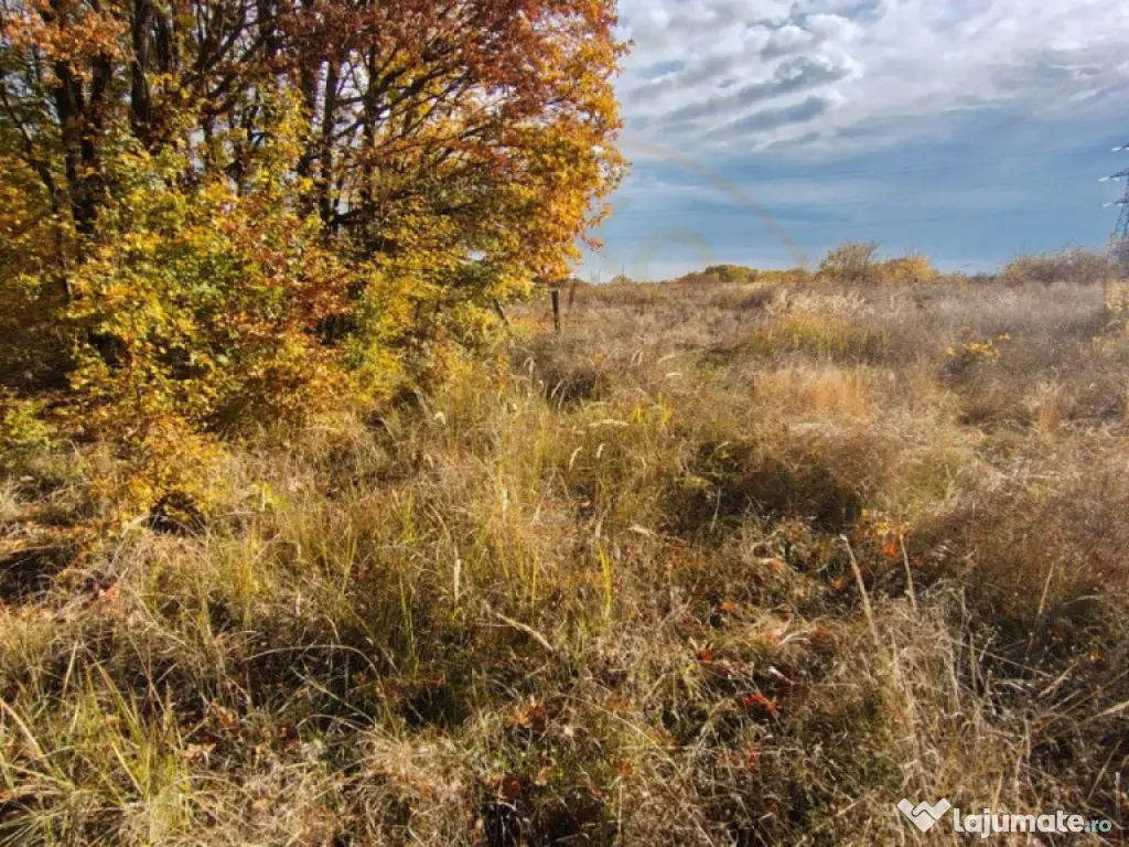 Teren Mosoaia 10200 mp intravilan Arges