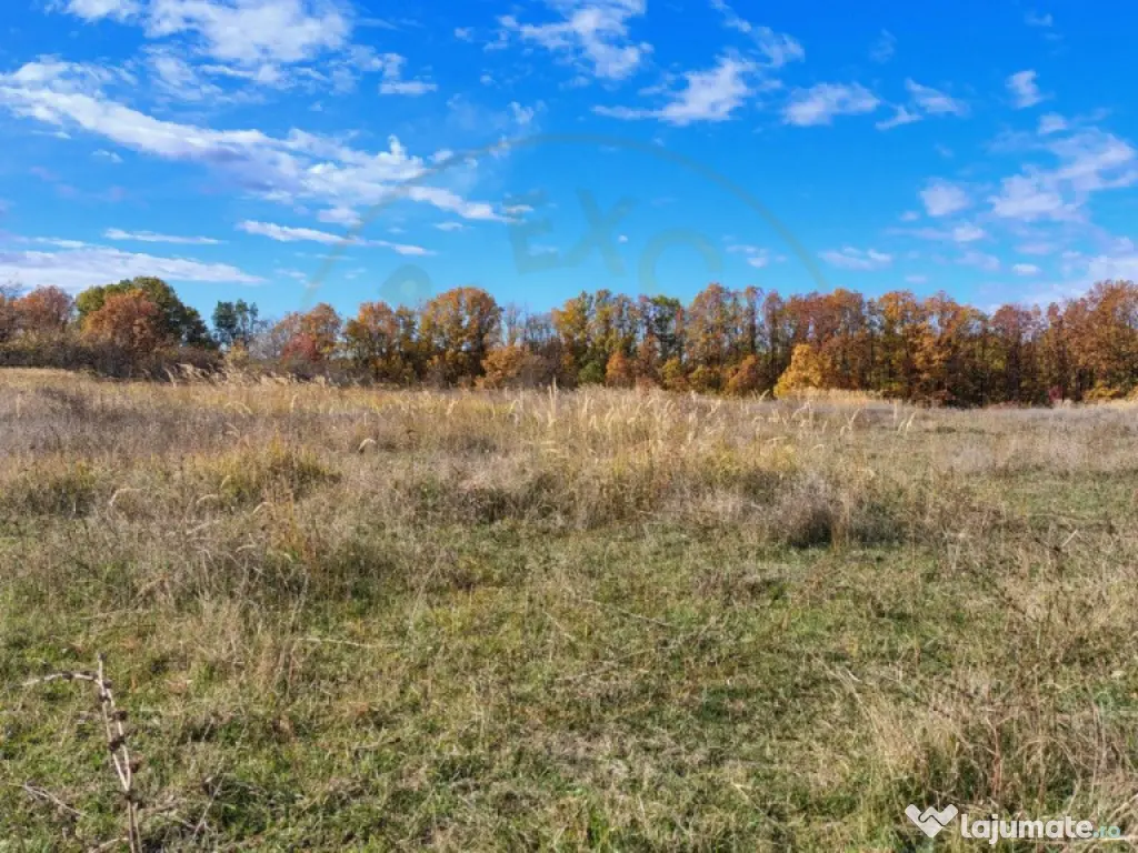 Teren Mosoaia 10200 mp intravilan Arges