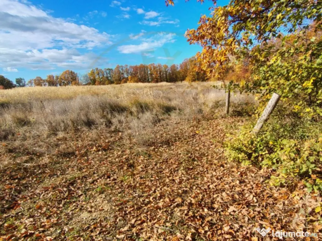 Teren Mosoaia 10200 mp intravilan Arges