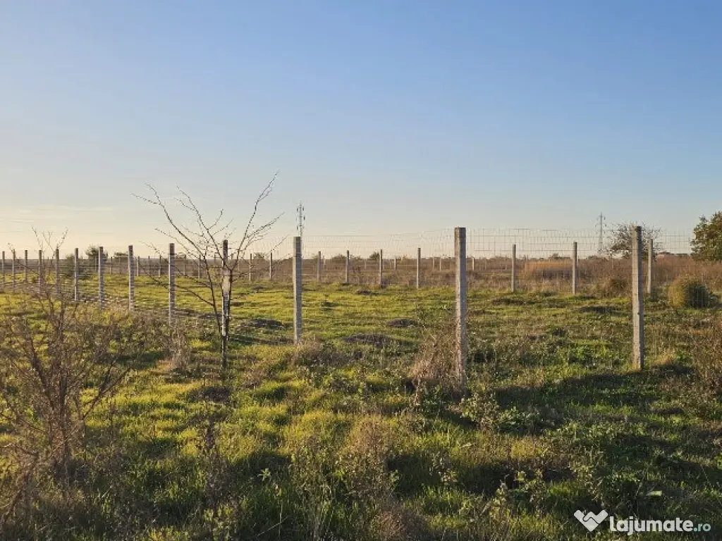 Veterani , teren imprejmuit 