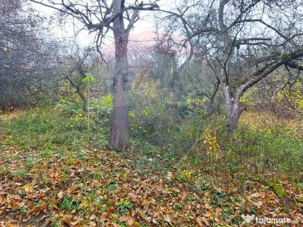 Comision 0! Casă cu teren de 1000mp in inima Brasovului 