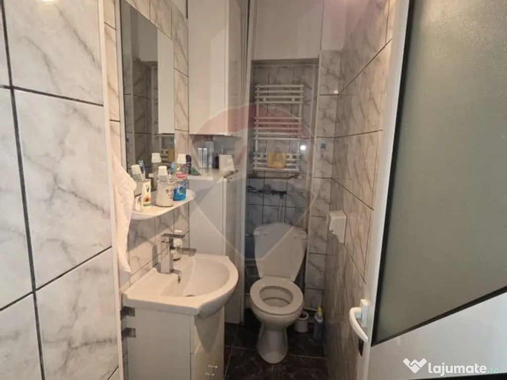 Apartament cu 3 camere etajul 1, Campineanca 