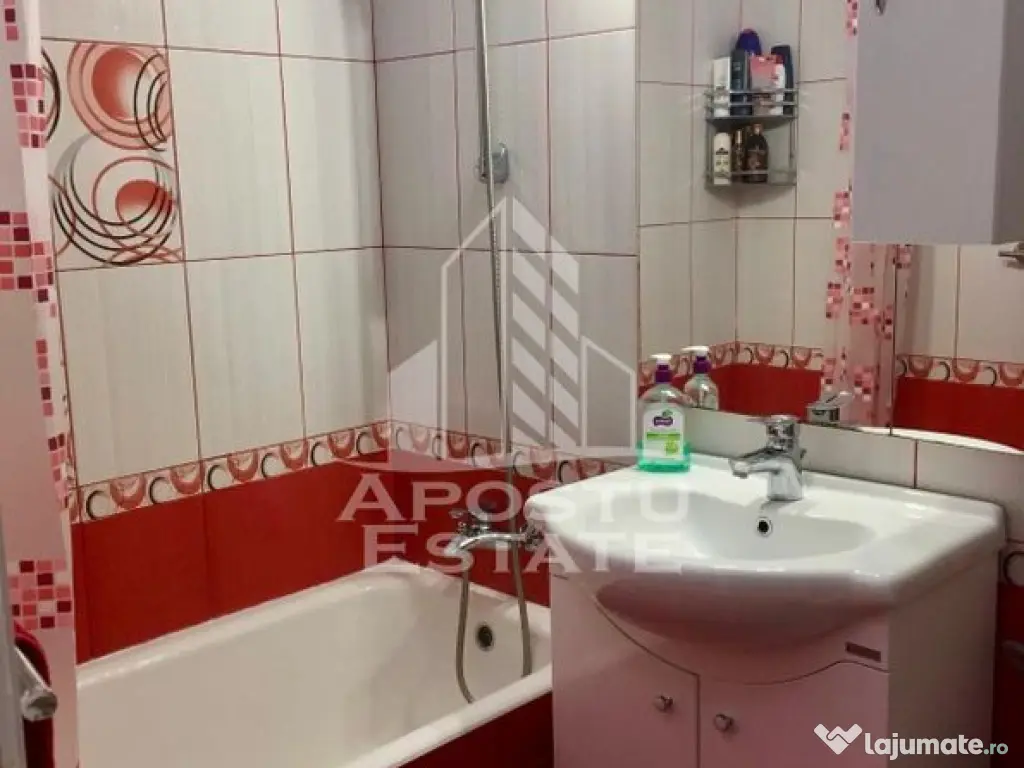 Apartament cu 1 camera, centrala proprie, zona Girocului