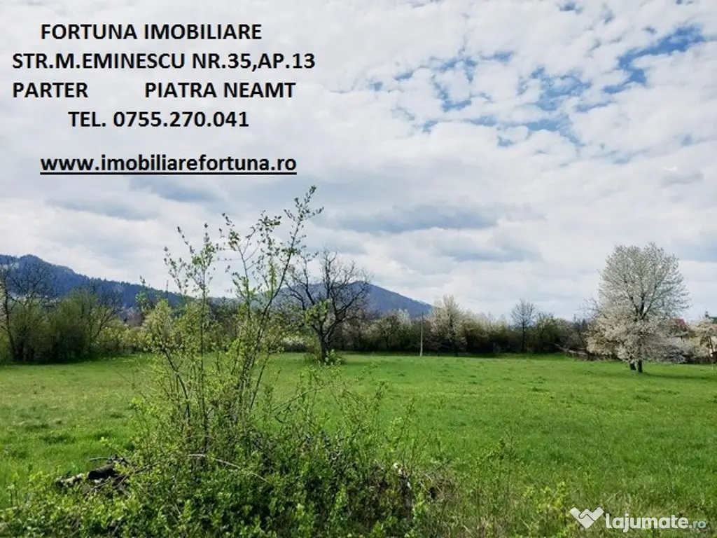 Teren intravilan 1480 mp, Alexandru cel Bun 