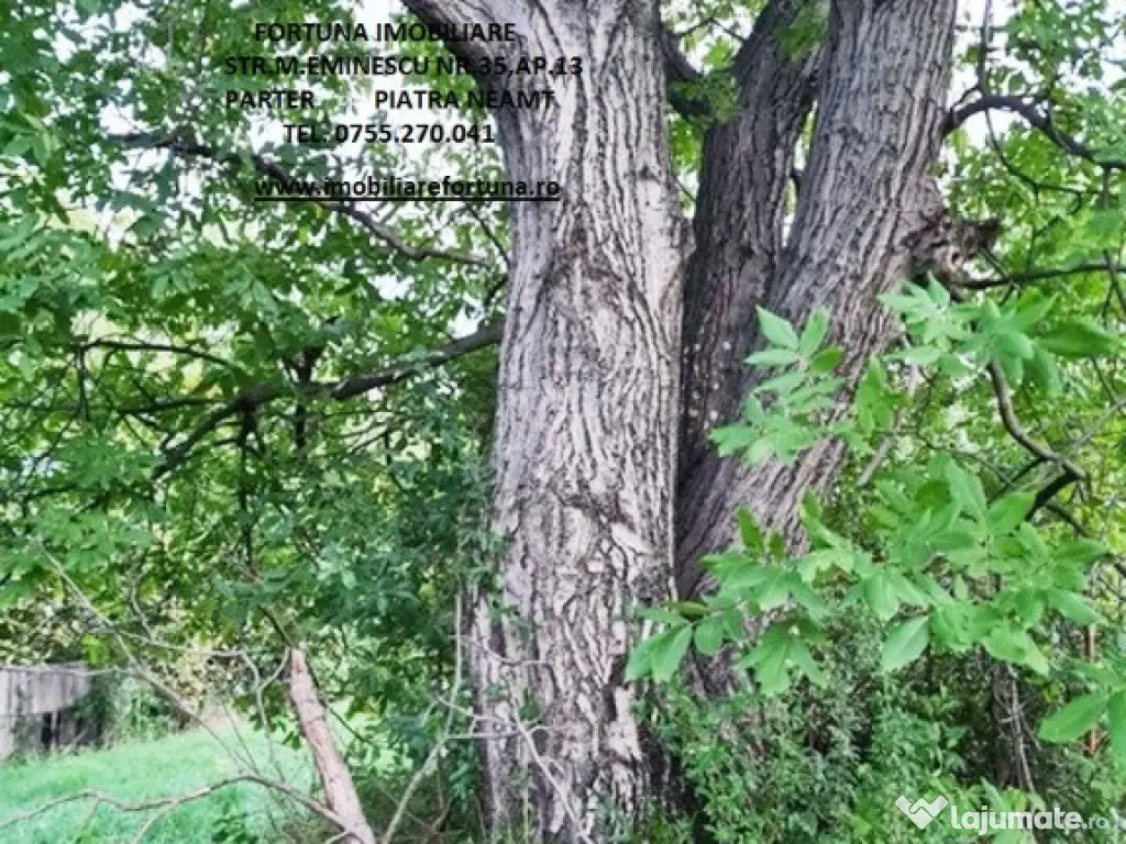 Teren intravilan 1480 mp, Alexandru cel Bun 