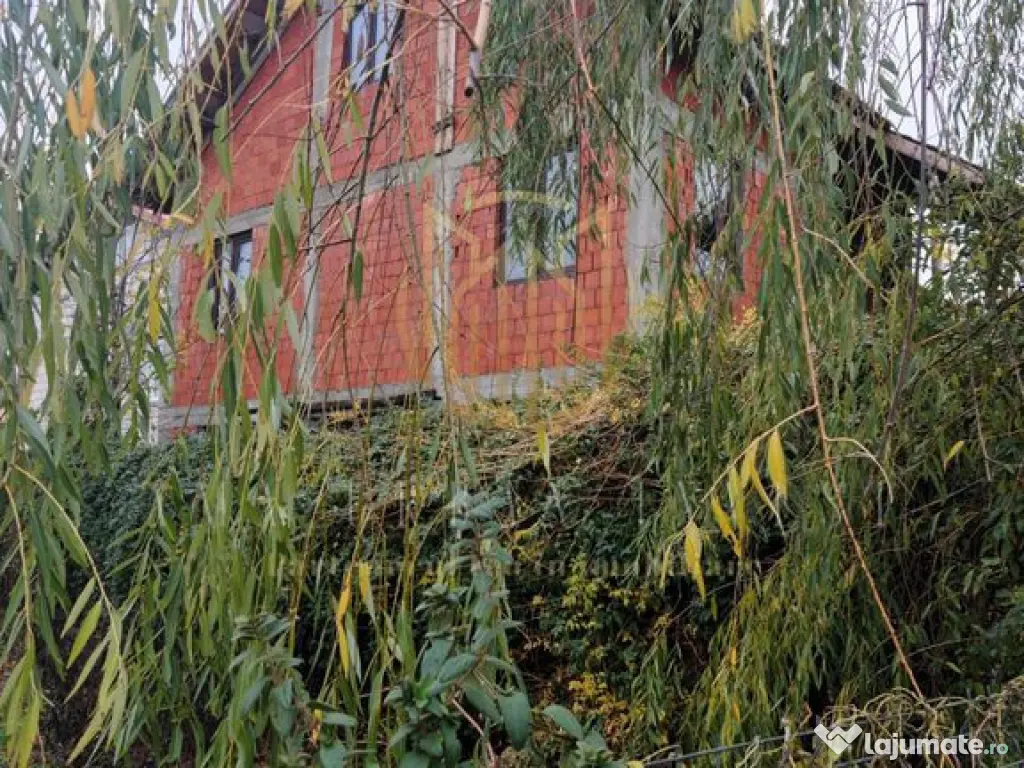 Oras Pantelimon Lebedei casa p+1+M 3 camere 159000eur 