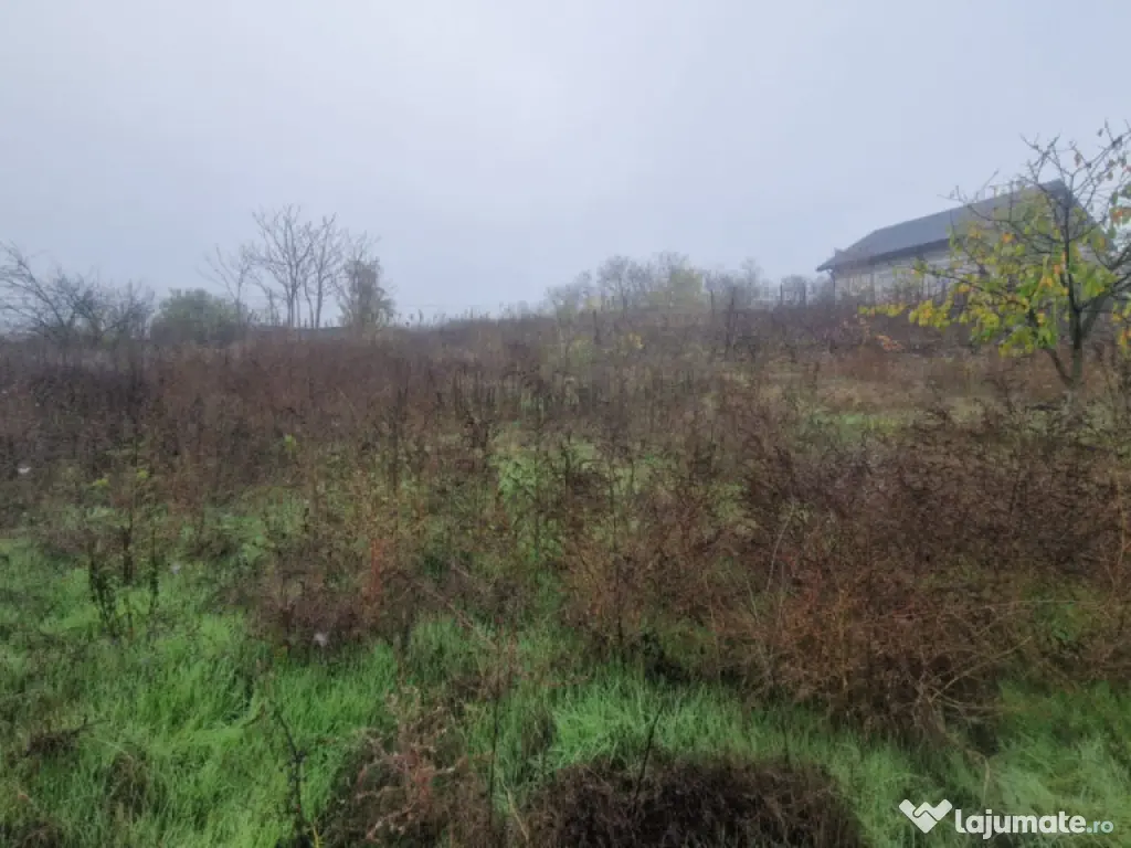 MINERI - CASA 4 CAMERE SUPRAFATA 97 MP, TEREN 3300 MP