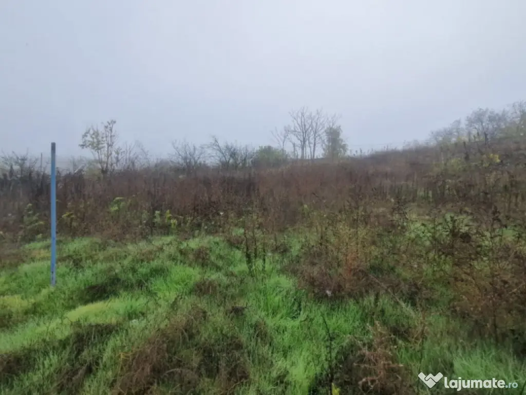 MINERI - CASA 4 CAMERE SUPRAFATA 97 MP, TEREN 3300 MP