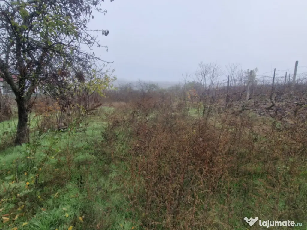 MINERI - CASA 4 CAMERE SUPRAFATA 97 MP, TEREN 3300 MP