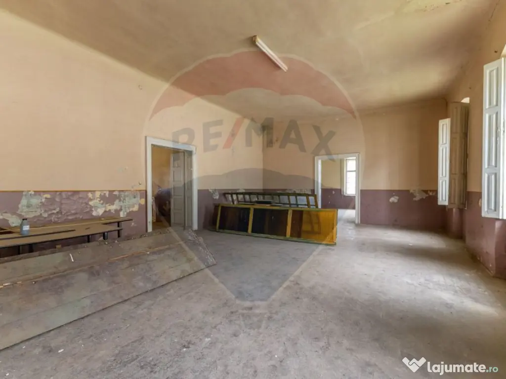 Conac aristocratic secolul XIX , domeniu 2,5 hectare — ... 