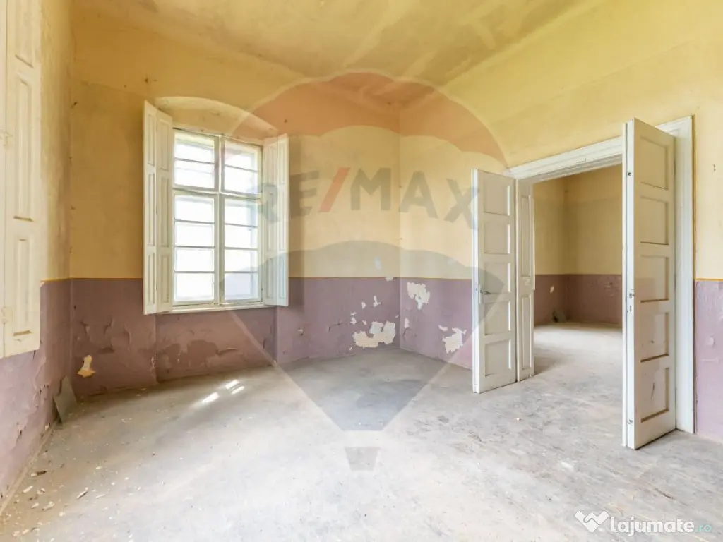 Conac aristocratic secolul XIX , domeniu 2,5 hectare — ... 