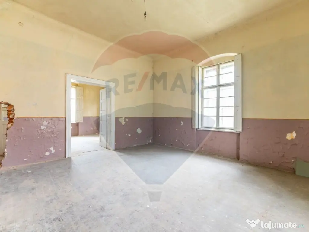 Conac aristocratic secolul XIX , domeniu 2,5 hectare — ... 