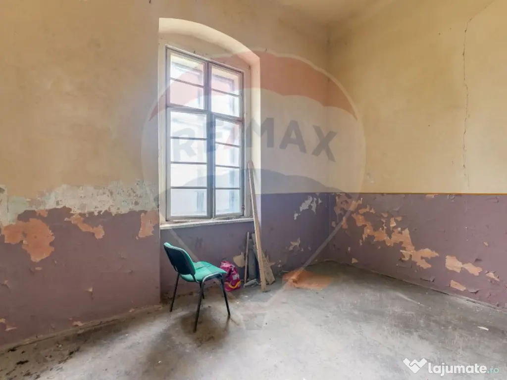 Conac aristocratic secolul XIX , domeniu 2,5 hectare — ... 