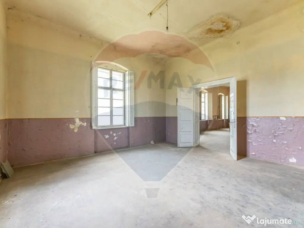 Conac aristocratic secolul XIX , domeniu 2,5 hectare — ... 