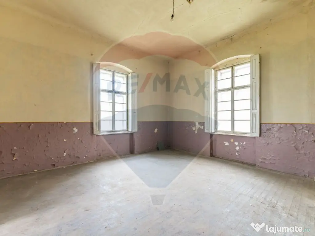 Conac aristocratic secolul XIX , domeniu 2,5 hectare — ... 