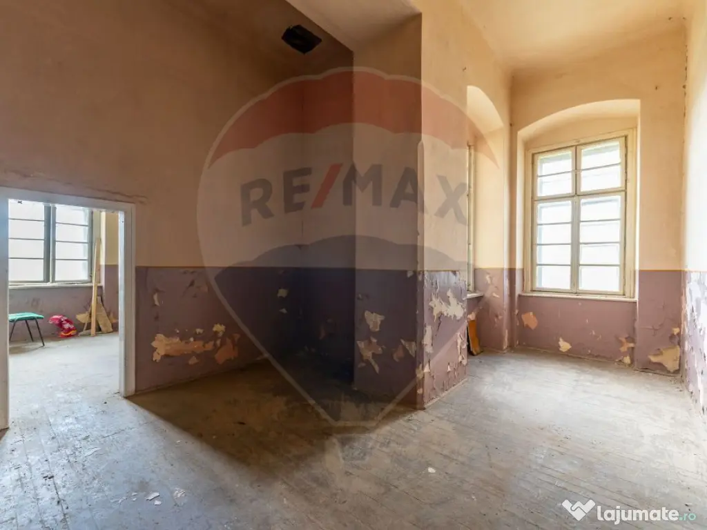 Conac aristocratic secolul XIX , domeniu 2,5 hectare — ... 