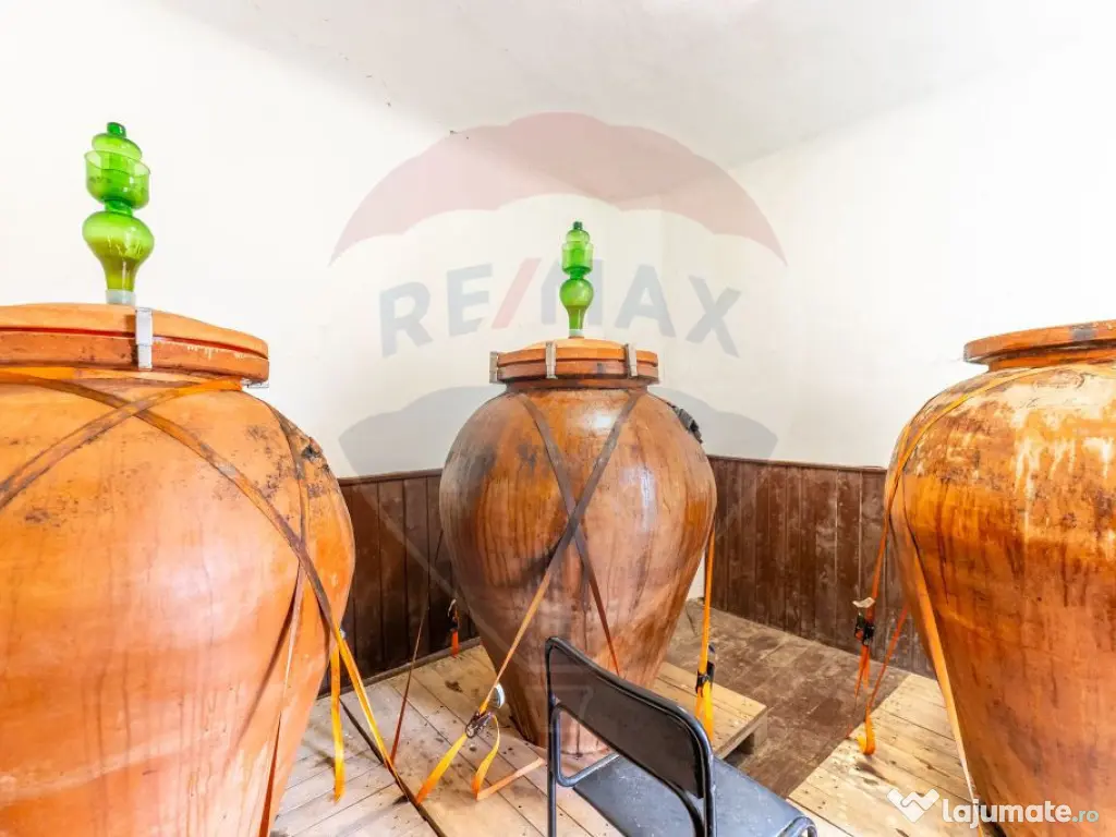 Conac aristocratic secolul XIX , domeniu 2,5 hectare — ... 