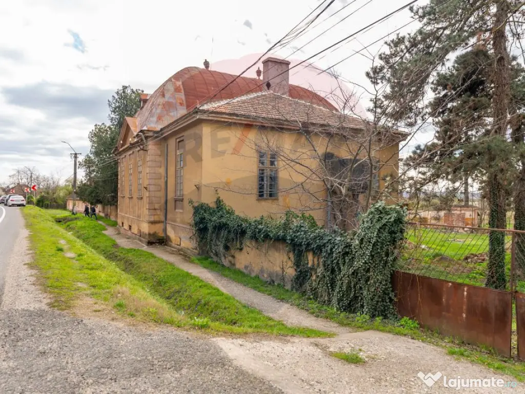 Conac aristocratic secolul XIX , domeniu 2,5 hectare — ... 