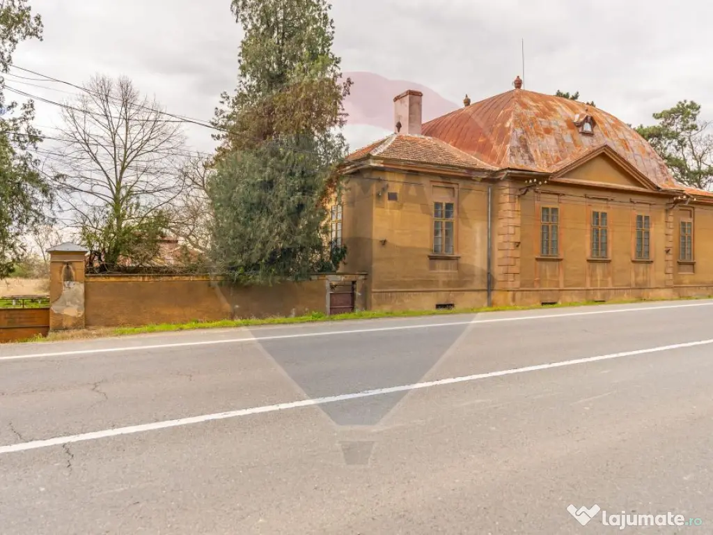 Conac aristocratic secolul XIX , domeniu 2,5 hectare — ... 