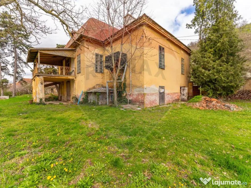 Conac aristocratic secolul XIX , domeniu 2,5 hectare — ... 