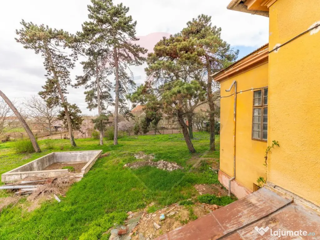 Conac aristocratic secolul XIX , domeniu 2,5 hectare — ... 