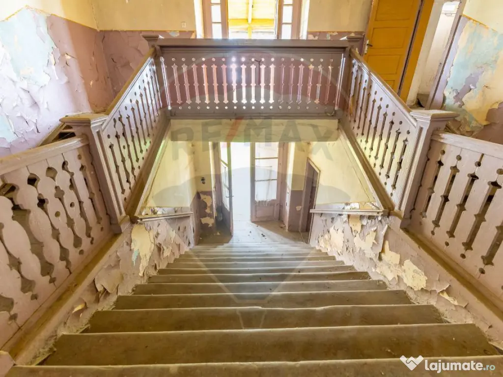 Conac aristocratic secolul XIX , domeniu 2,5 hectare — ... 